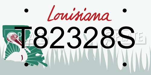 T82328S Louisiana License Plate