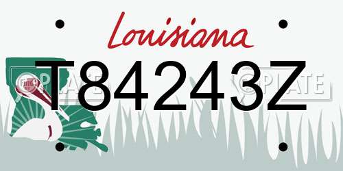 T84243Z Louisiana License Plate