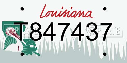 T847437 Louisiana License Plate