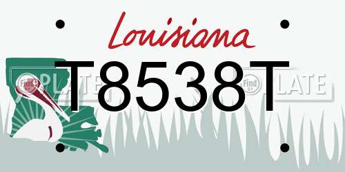 T8538T Louisiana License Plate