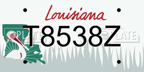 T8538Z Louisiana License Plate