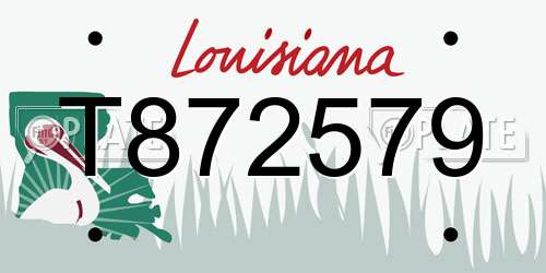 T872579 Louisiana License Plate