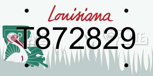 T872829 Louisiana License Plate