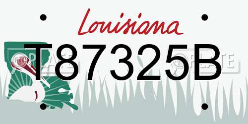 T87325B Louisiana License Plate