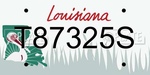 T87325S Louisiana License Plate