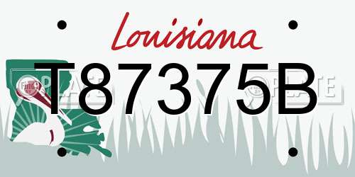 T87375B Louisiana License Plate