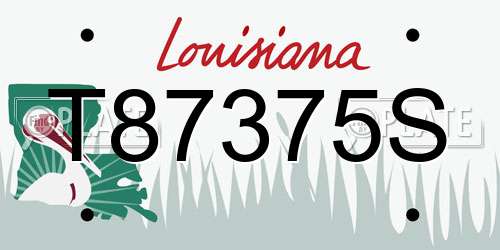T87375S Louisiana License Plate