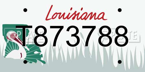 T873788 Louisiana License Plate