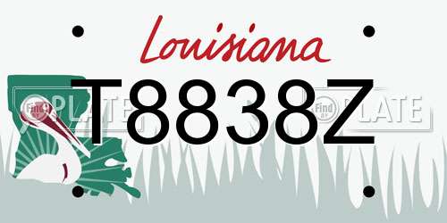 T8838Z Louisiana License Plate