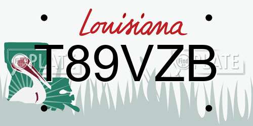 T89VZB Louisiana License Plate