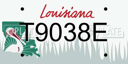 T9038E Louisiana License Plate