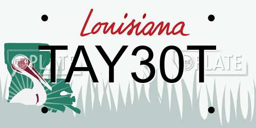 TAY30T Louisiana License Plate