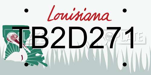 TB2D271 Louisiana License Plate