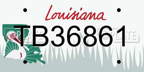 TB36861 Louisiana License Plate