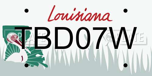 TBD07W Louisiana License Plate