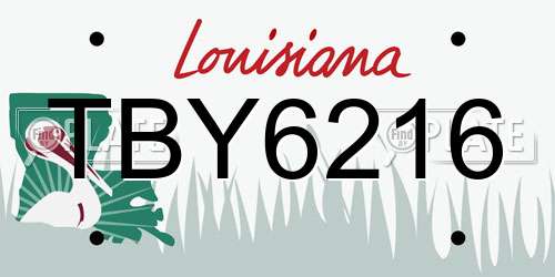 TBY6216 Louisiana License Plate
