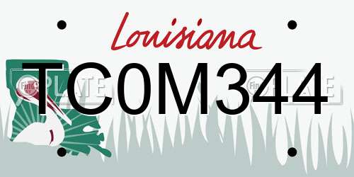 TC0M344 Louisiana License Plate