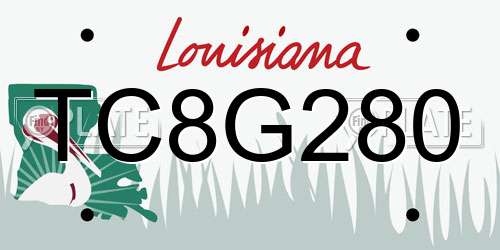 TC8G280 Louisiana License Plate