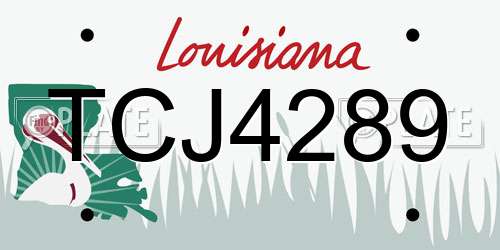TCJ4289 Louisiana License Plate