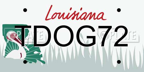 TDOG72 Louisiana License Plate
