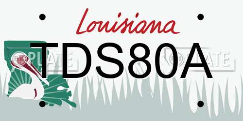 TDS80A Louisiana License Plate