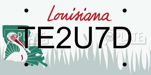 TE2U7D Louisiana License Plate