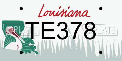 TE378 Louisiana License Plate