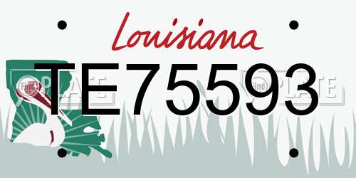 TE75593 Louisiana License Plate