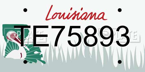 TE75893 Louisiana License Plate