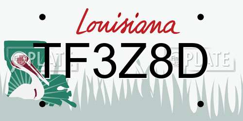 TF3Z8D Louisiana License Plate