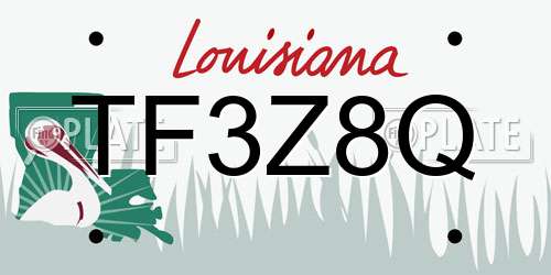 TF3Z8Q Louisiana License Plate