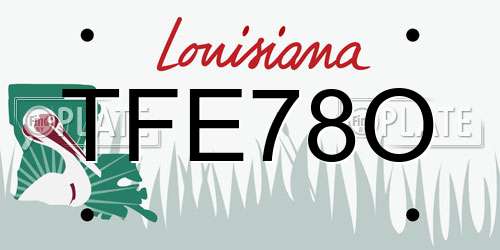 TFE78O Louisiana License Plate