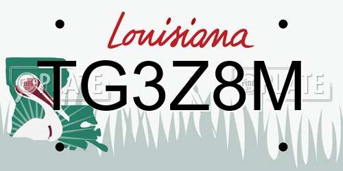 TG3Z8M Louisiana License Plate