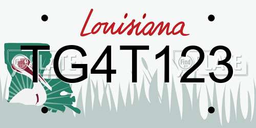 TG4T123 Louisiana License Plate