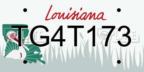 TG4T173 Louisiana License Plate