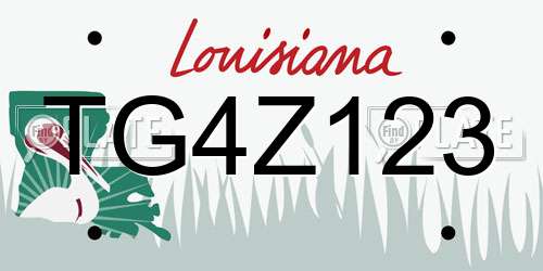 TG4Z123 Louisiana License Plate