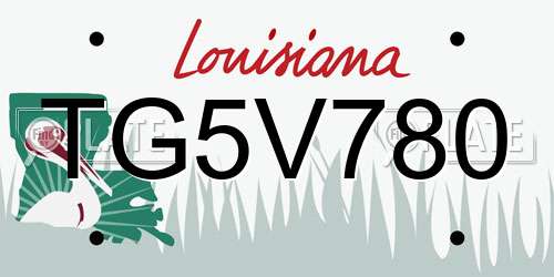 TG5V780 Louisiana License Plate