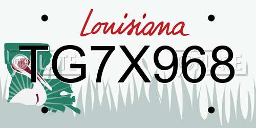 TG7X968 Louisiana License Plate