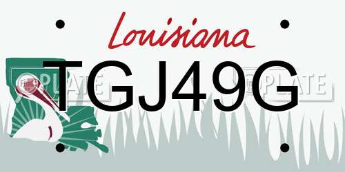 TGJ49G Louisiana License Plate