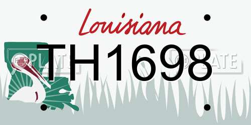 TH1698 Louisiana License Plate