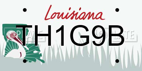 TH1G9B Louisiana License Plate