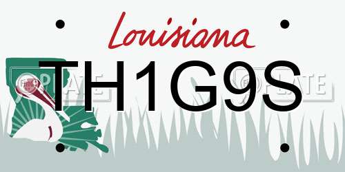 TH1G9S Louisiana License Plate