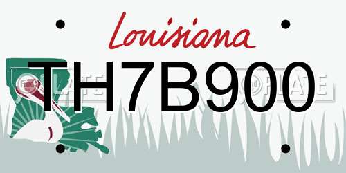 TH7B900 Louisiana License Plate