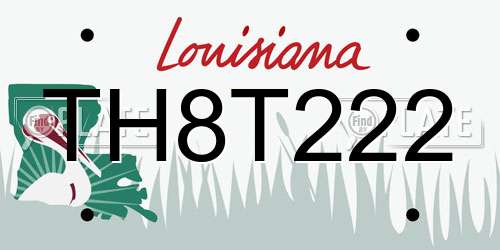 TH8T222 Louisiana License Plate