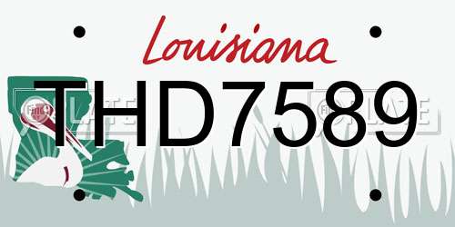THD7589 Louisiana License Plate