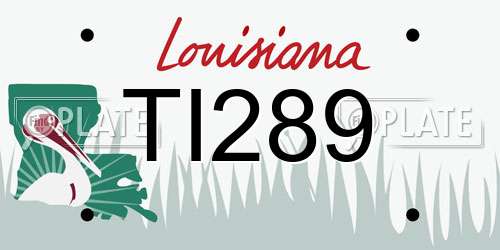 TI289 Louisiana License Plate