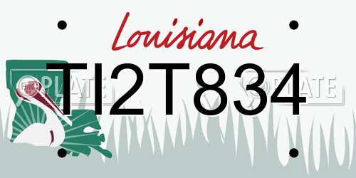 TI2T834 Louisiana License Plate