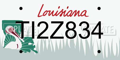 TI2Z834 Louisiana License Plate