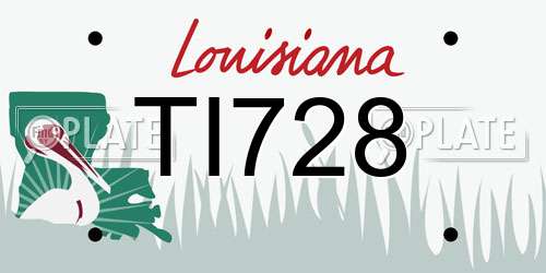 TI728 Louisiana License Plate