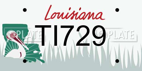 TI729 Louisiana License Plate